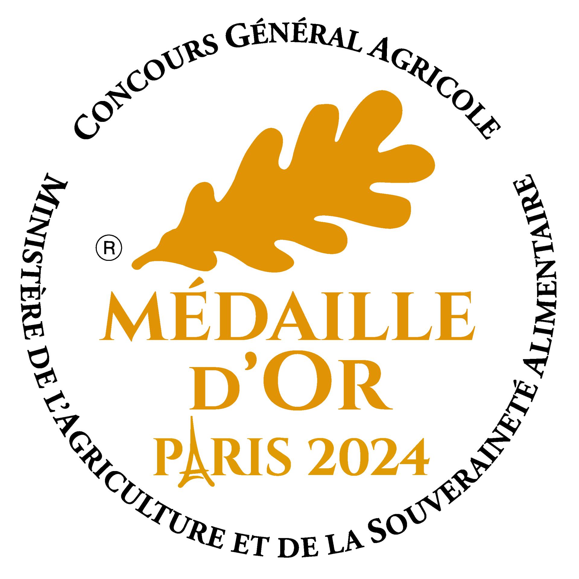 Logo jpg medaille or 2024